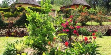 Nyore Cottages