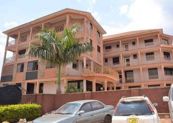 Ubuntu Palace Hotel View